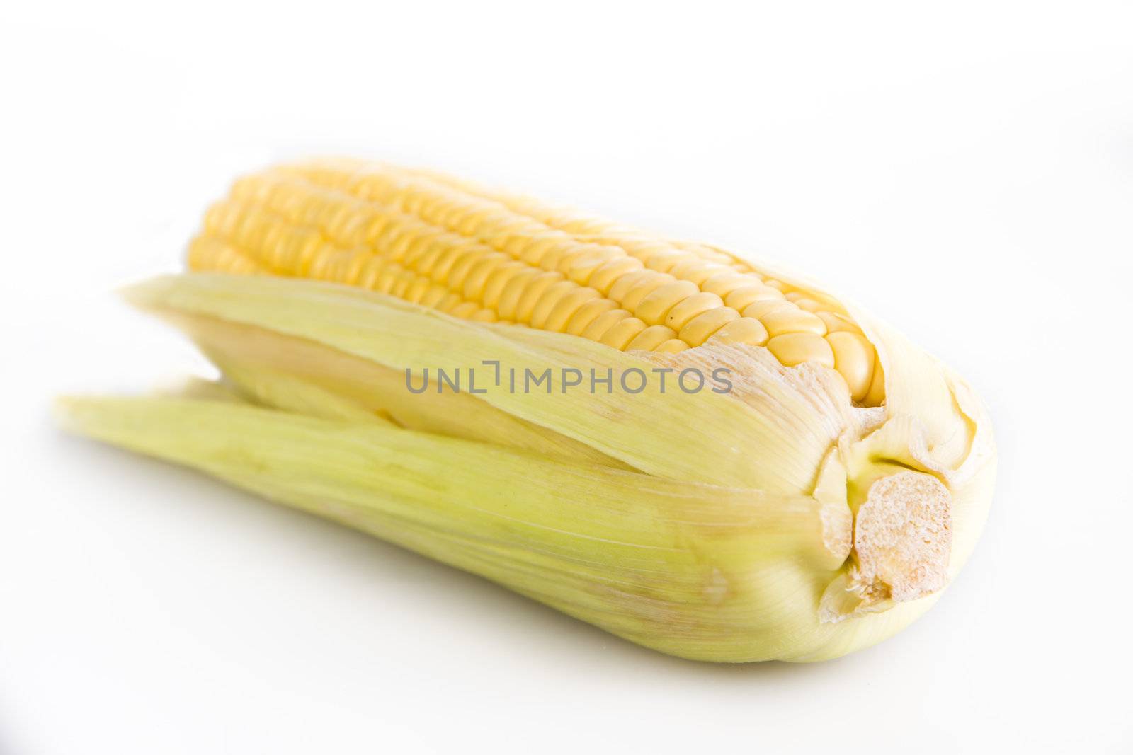 Corn cob by caldix