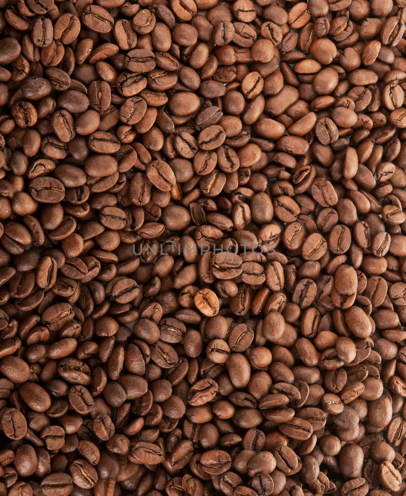 coffee beans by artbox