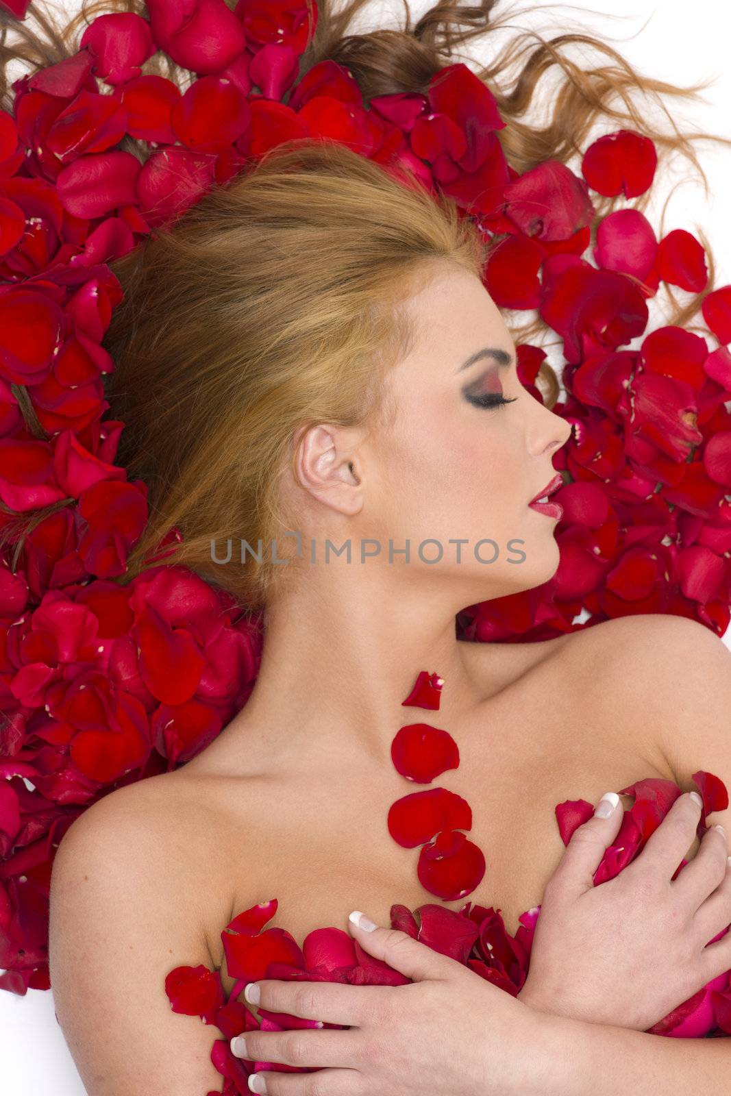 Nude in Red Rose Petals by ChrisBoswell