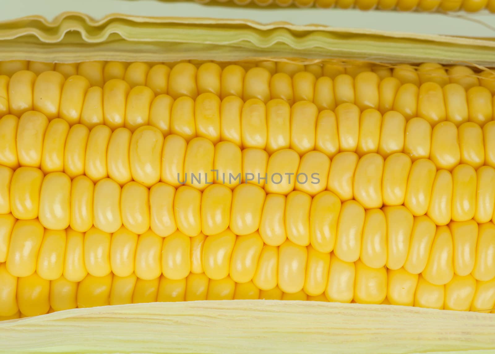 corn cob