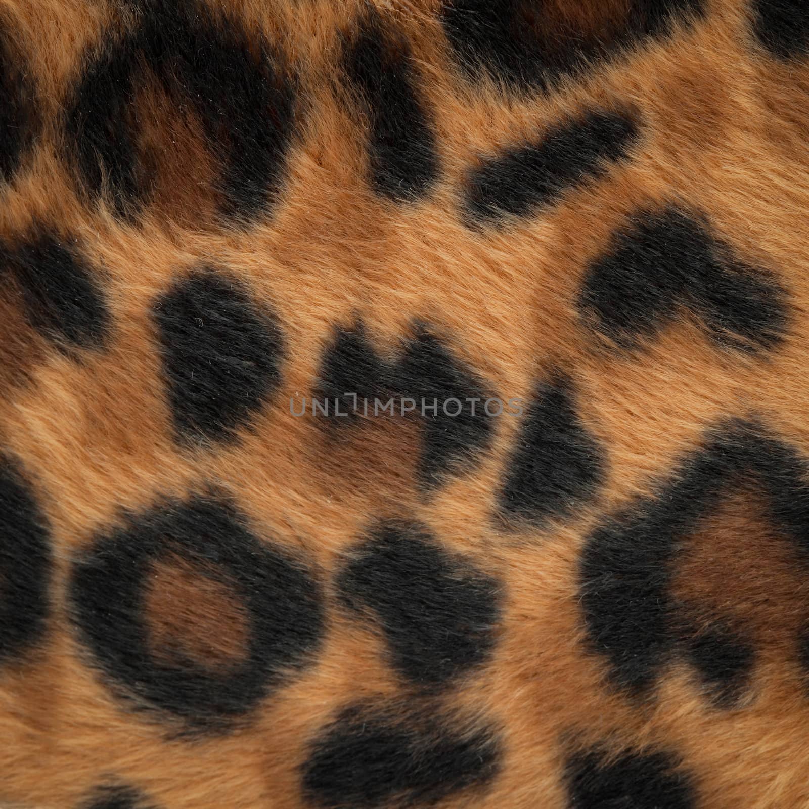 leopard or jaguar skin pattern background  by FrameAngel