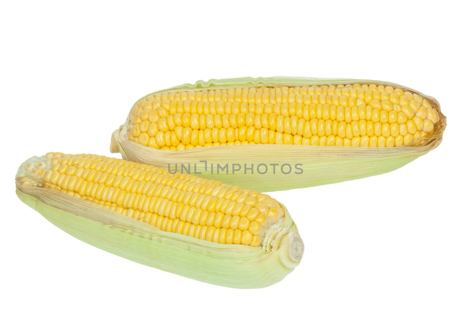 corn cob