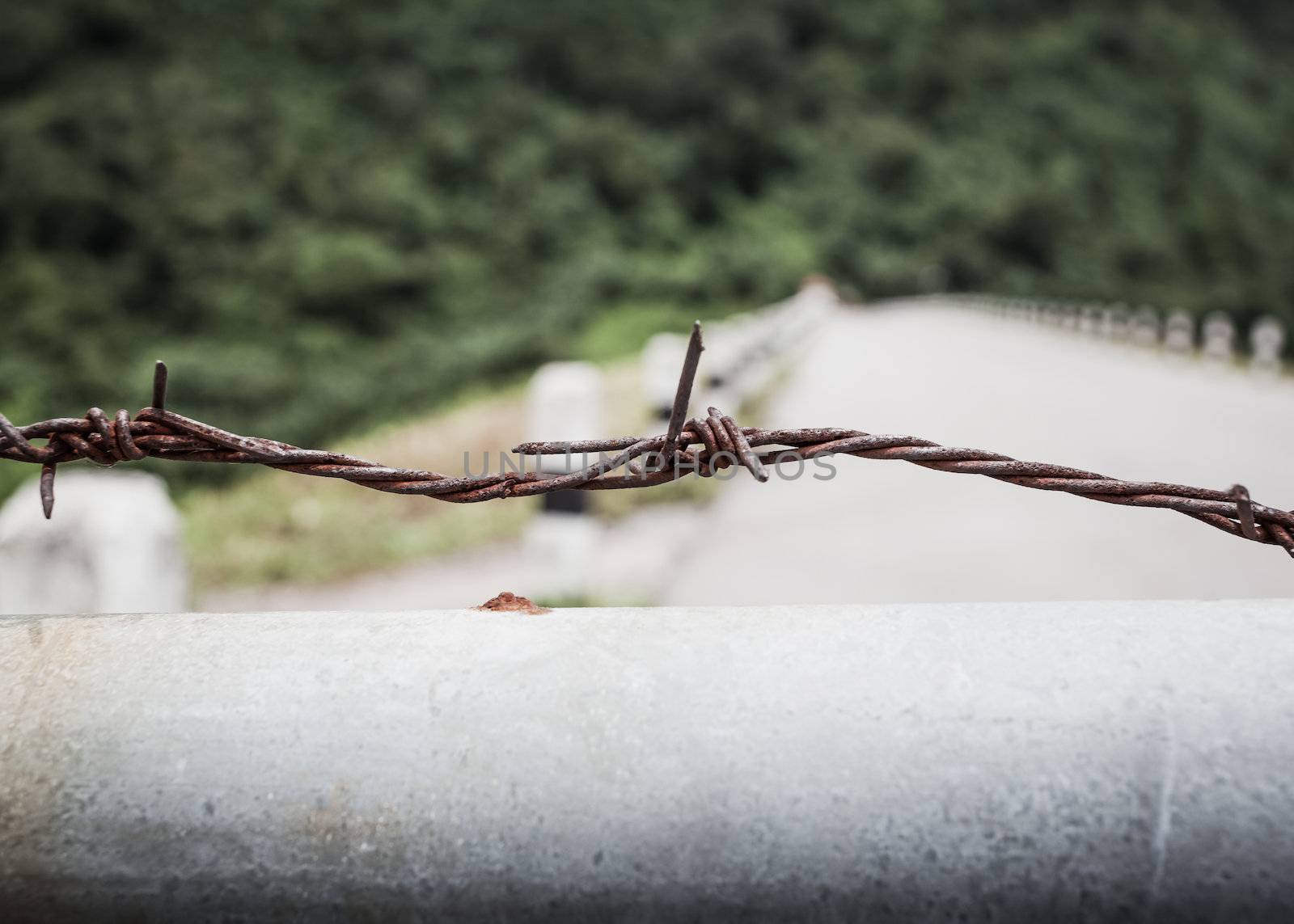 Fence with a barbed wire