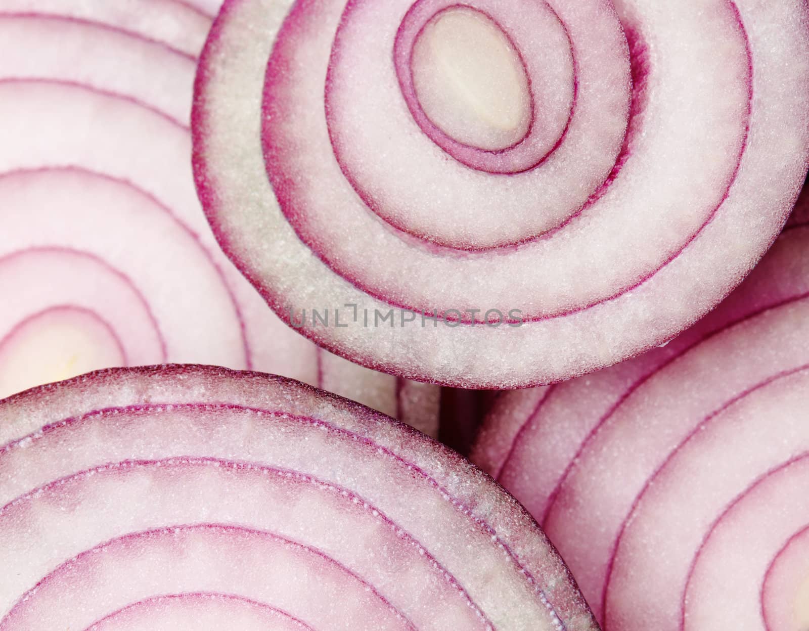 Red onion slices by romanshyshak