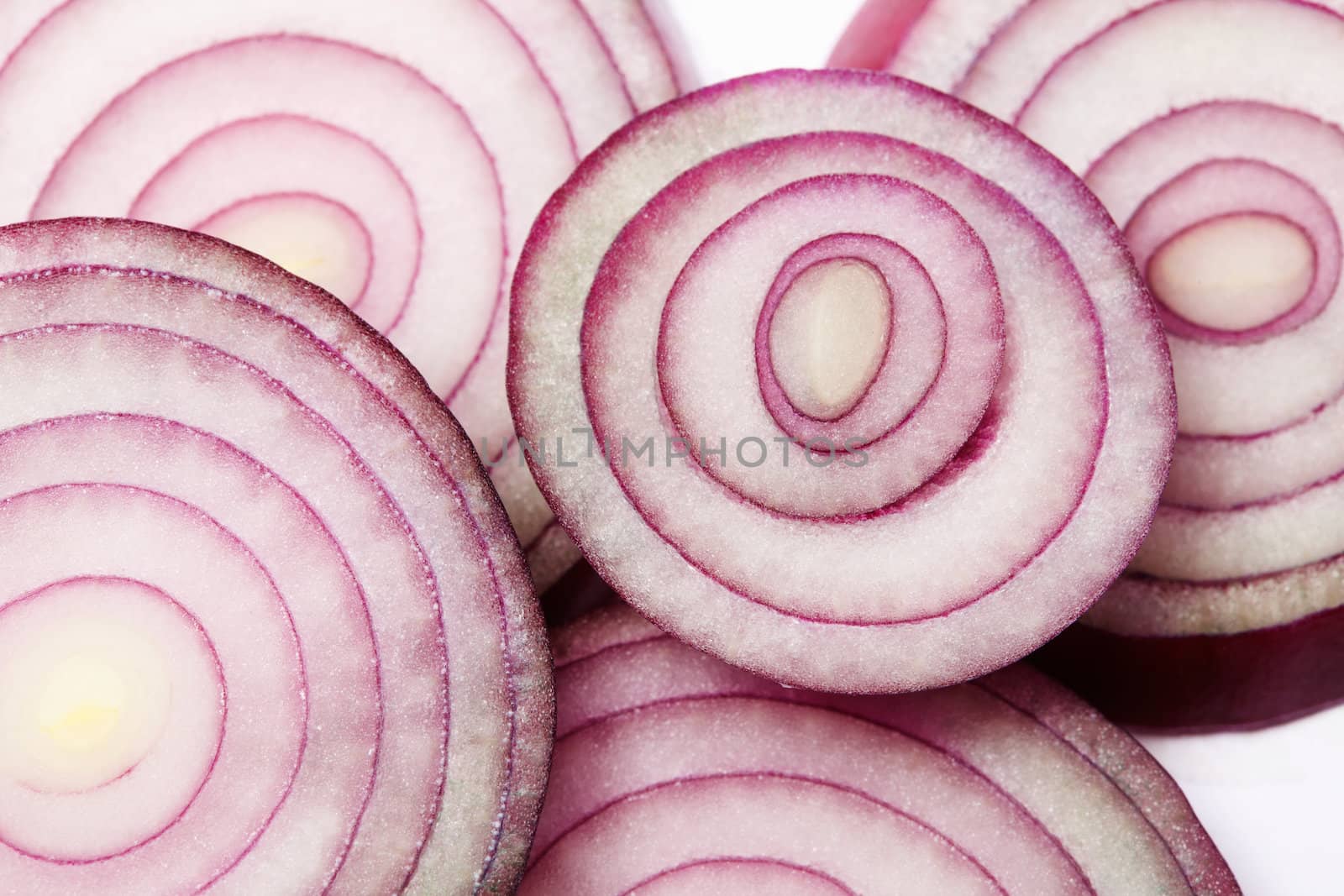 Red onion slices by romanshyshak