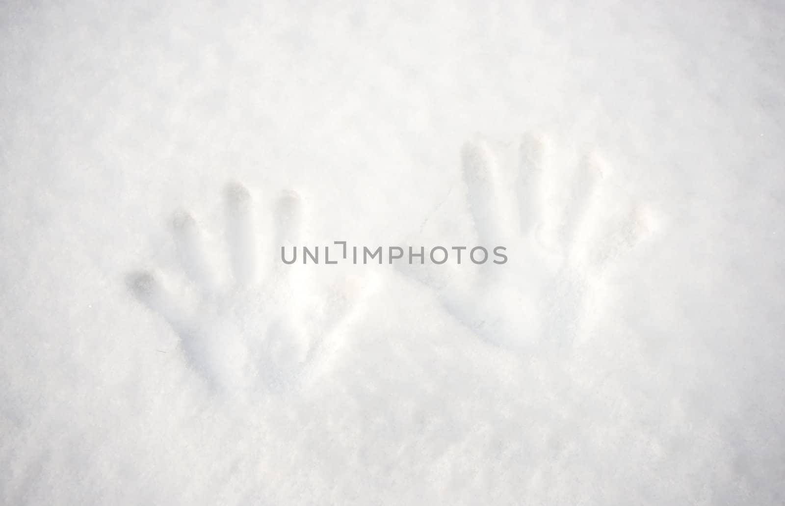 hand prints in white