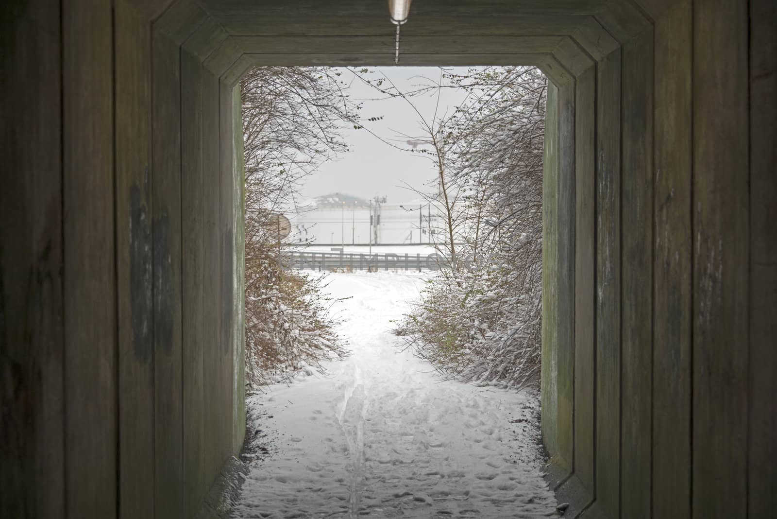see trough winter view with snow