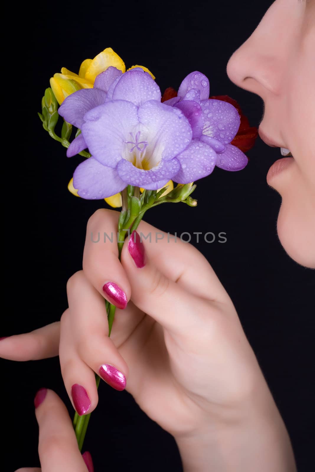 Woman sniffing flowers, freesia on a black background