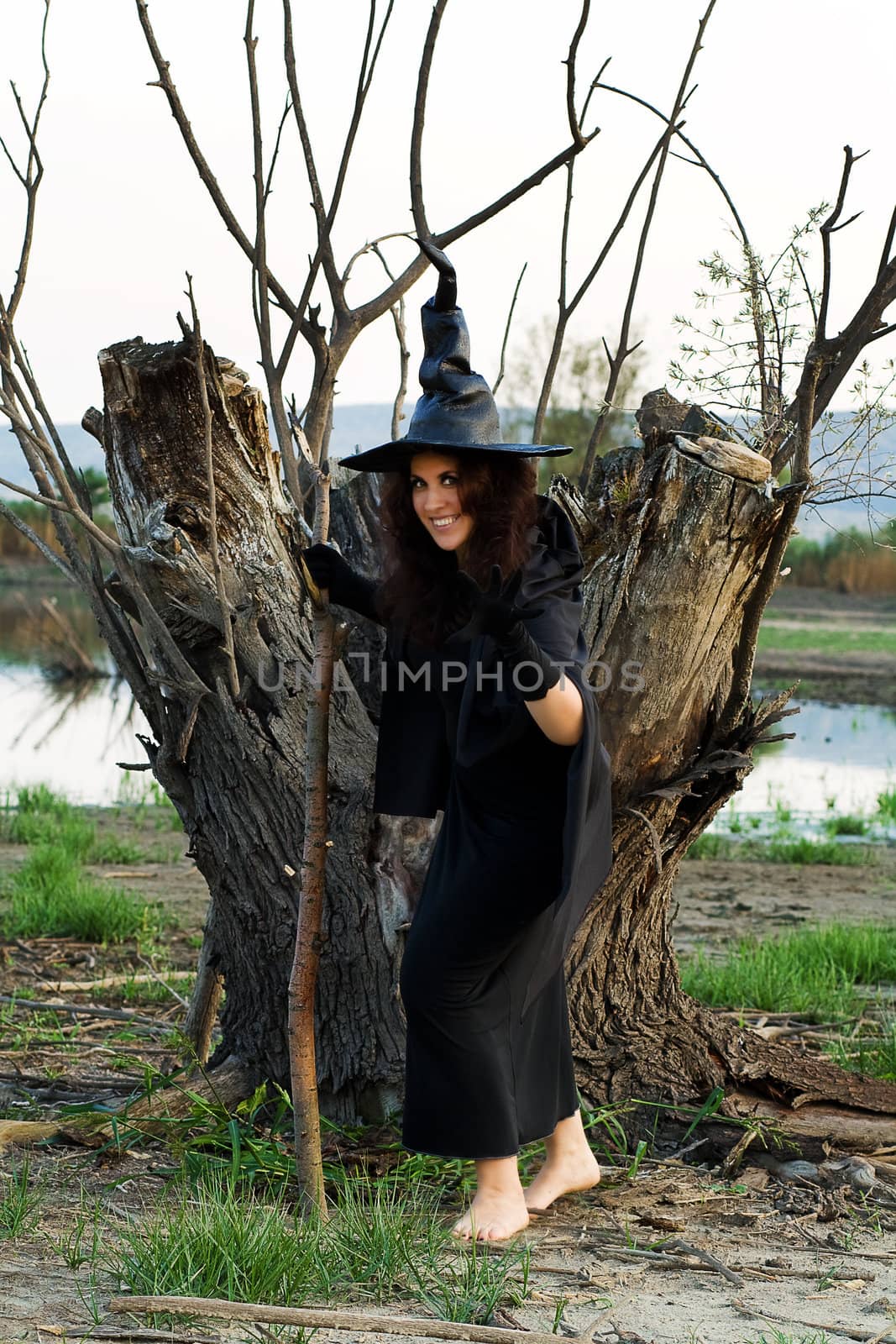 halloween witch against the background of dried wood and marsh