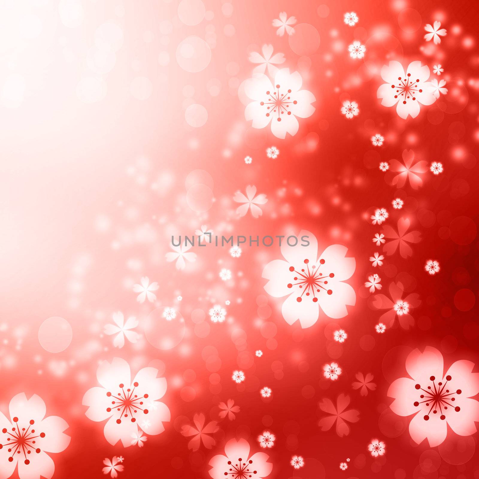 Red colored cherry blossoms background