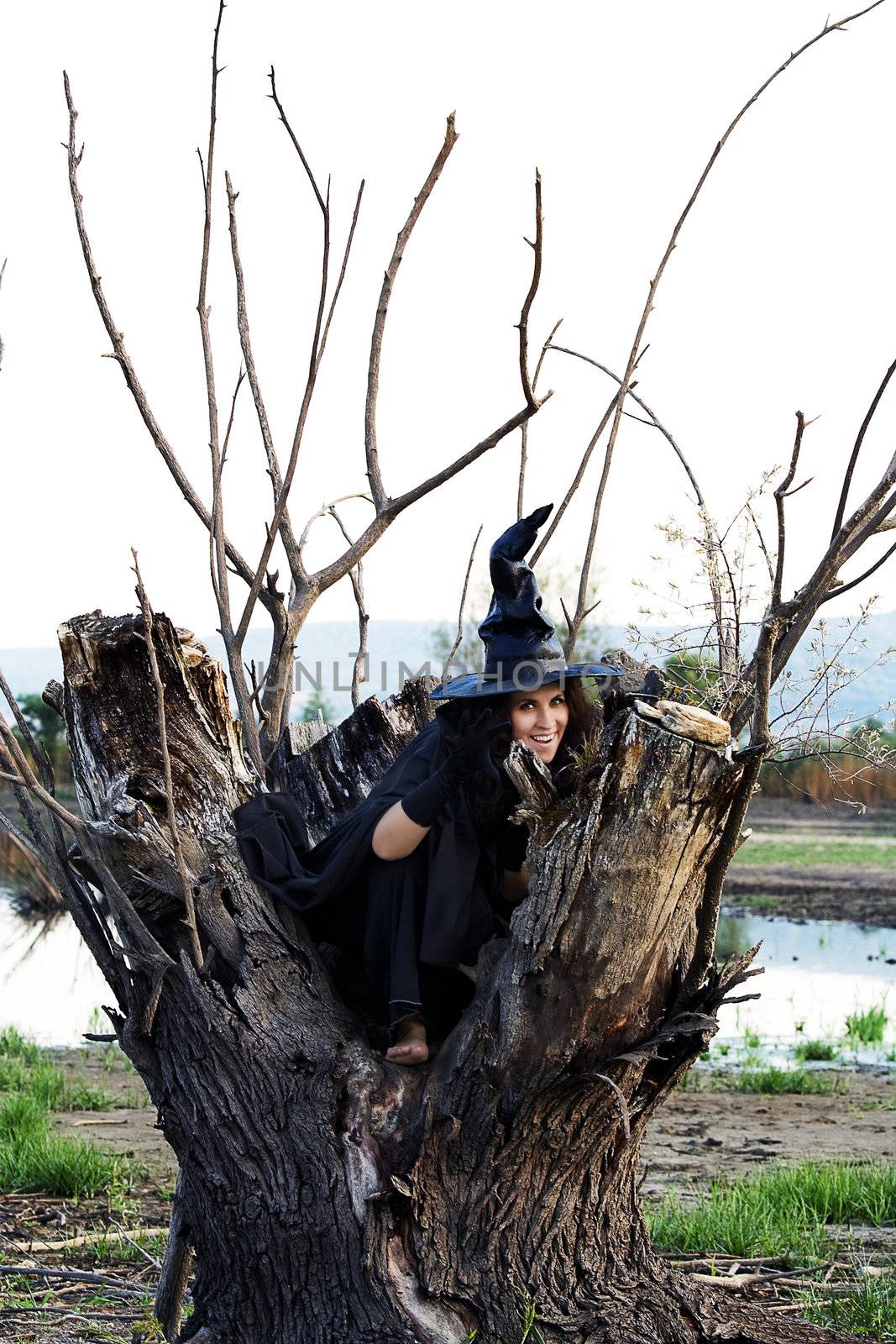 Halloween Witch hid in a hollow tree, and preparing new villainy