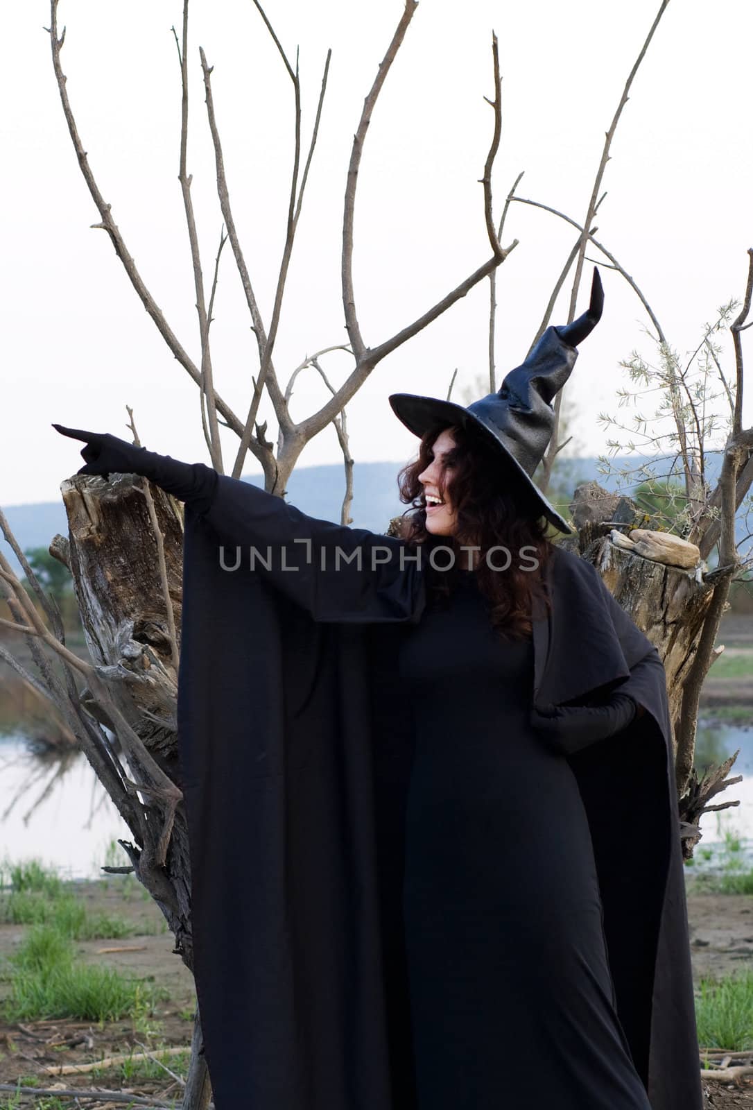 halloween witch against the background of dried wood and marsh