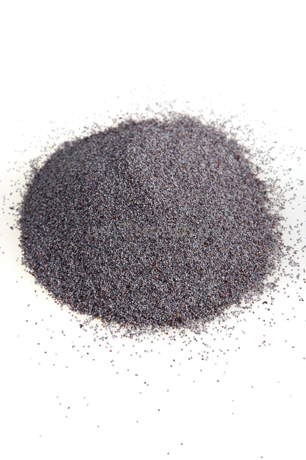 A studio shot of a pile of tiny poppy seeds against a white background