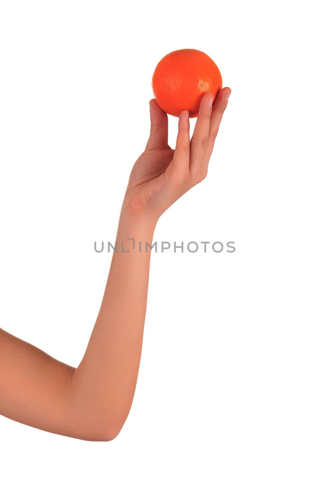 Woman's hands with orange isolated over white background