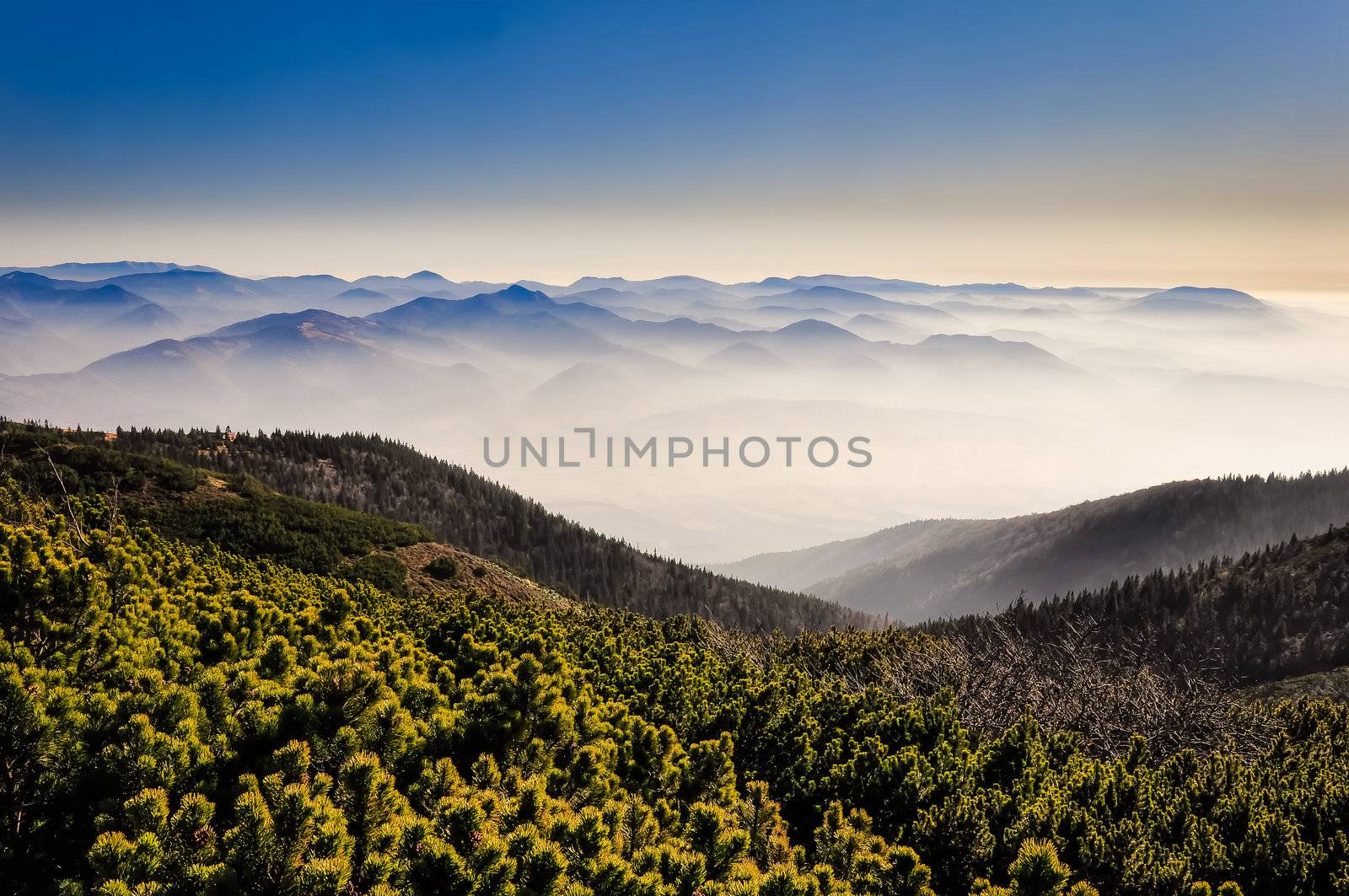 Misty mountains landscape view by martinm303