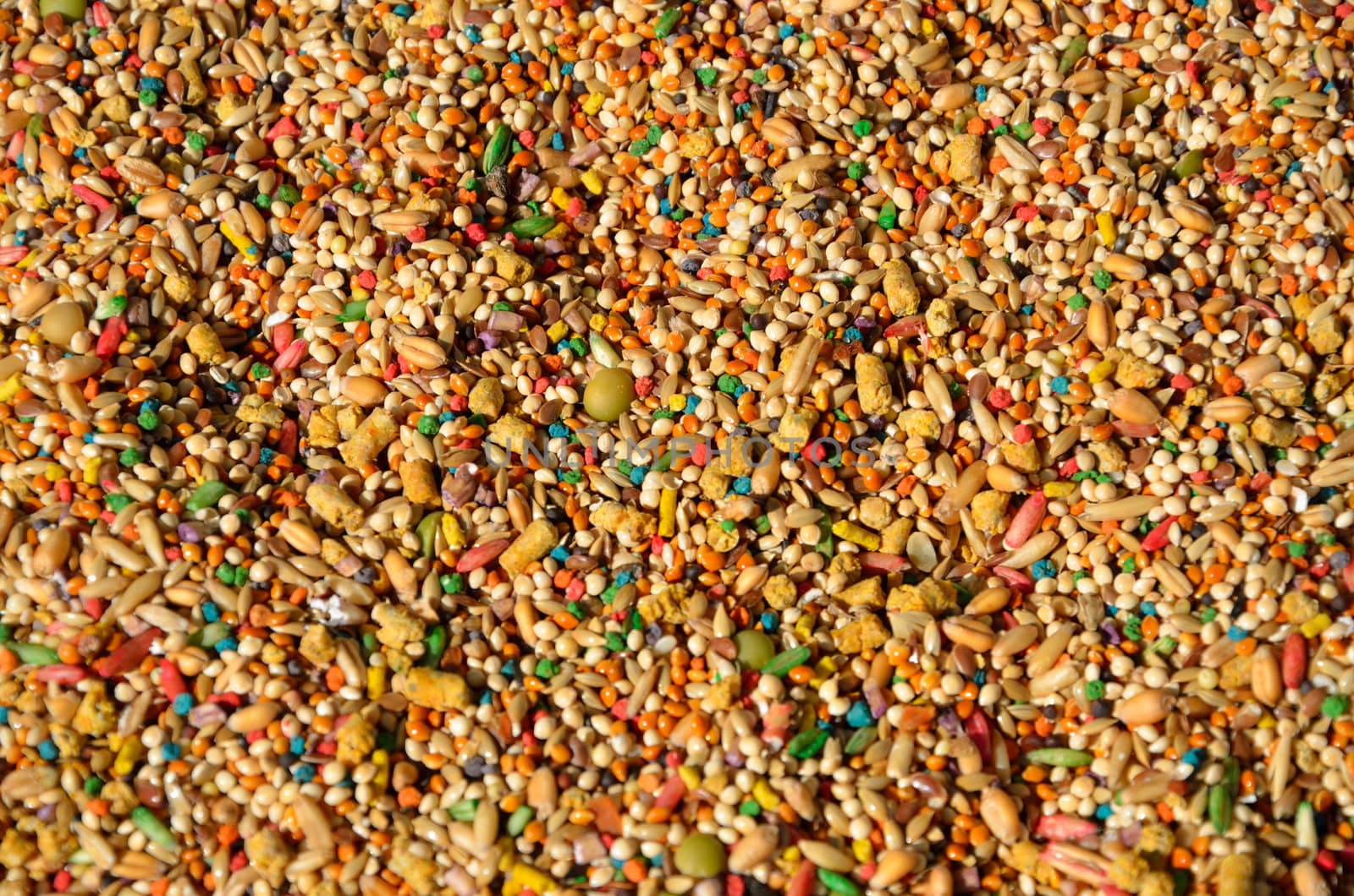 Close up of multi colored birdseed