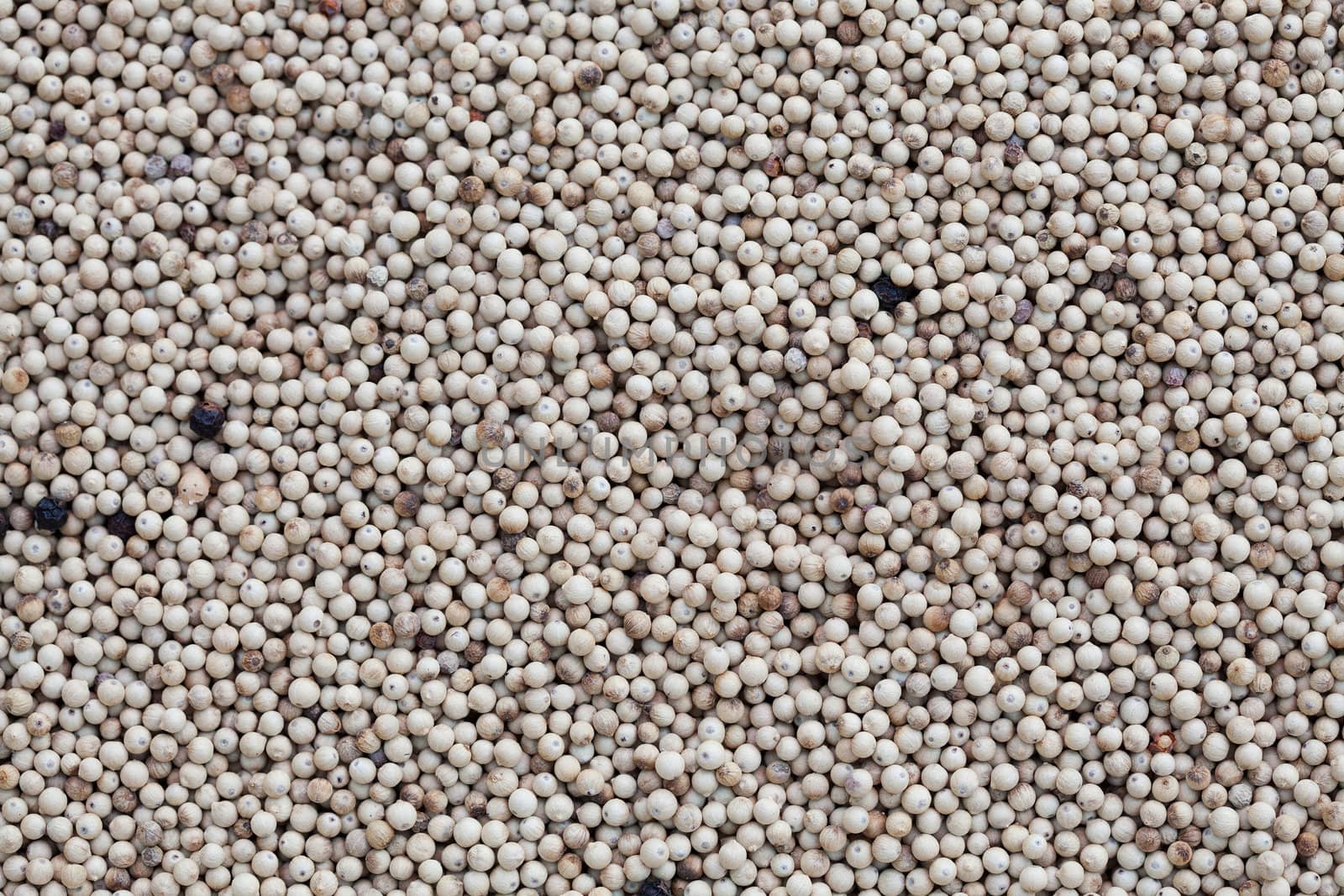 White pepper