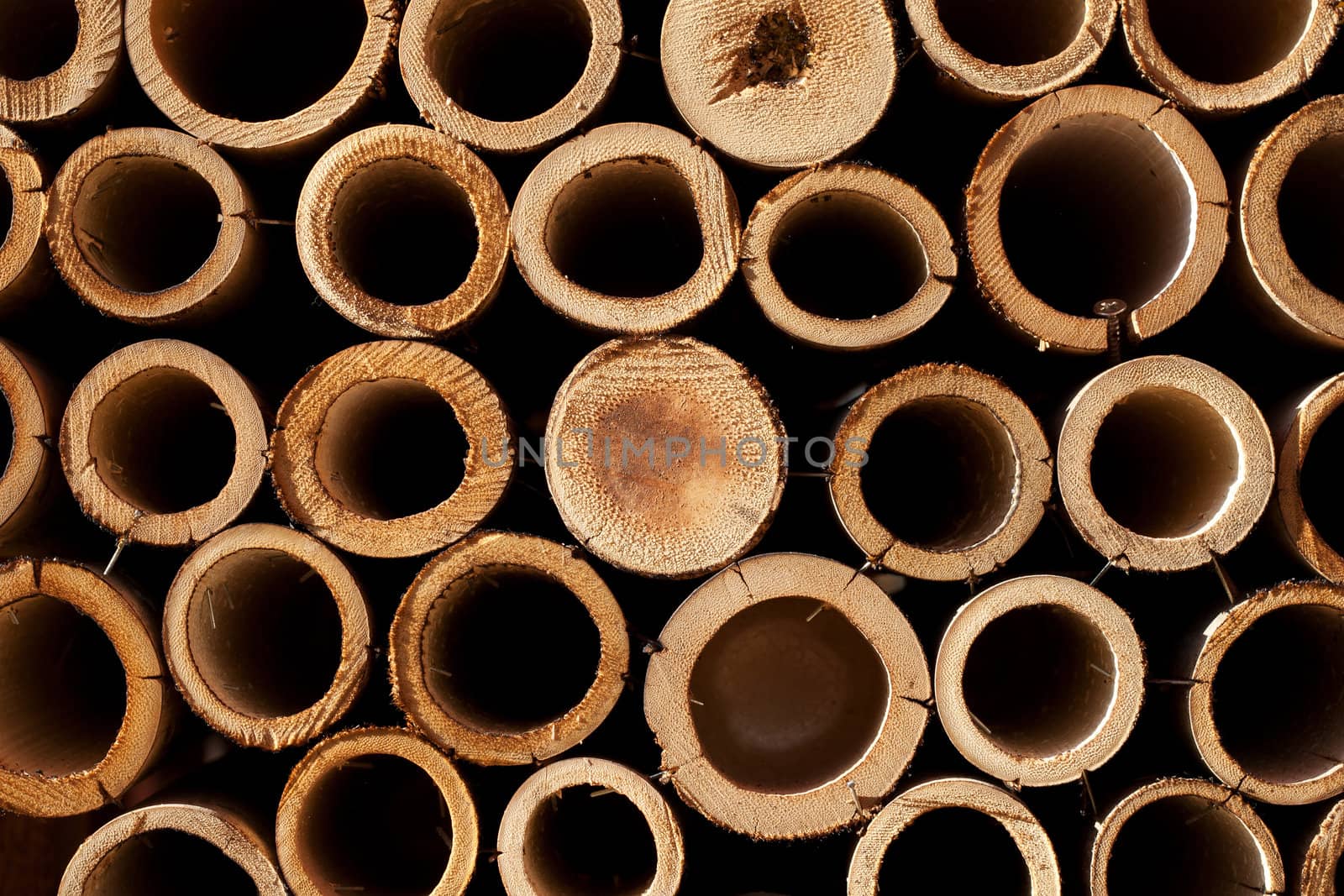 Bamboo section