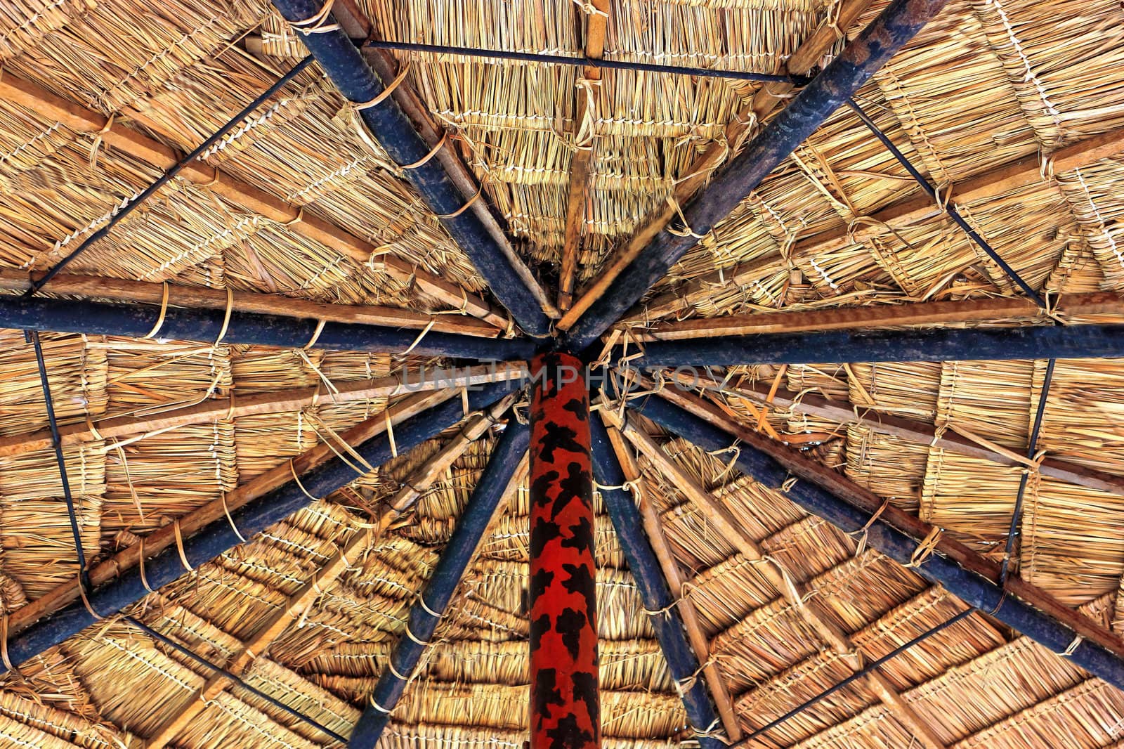 Old roof to keep the rain sideways.