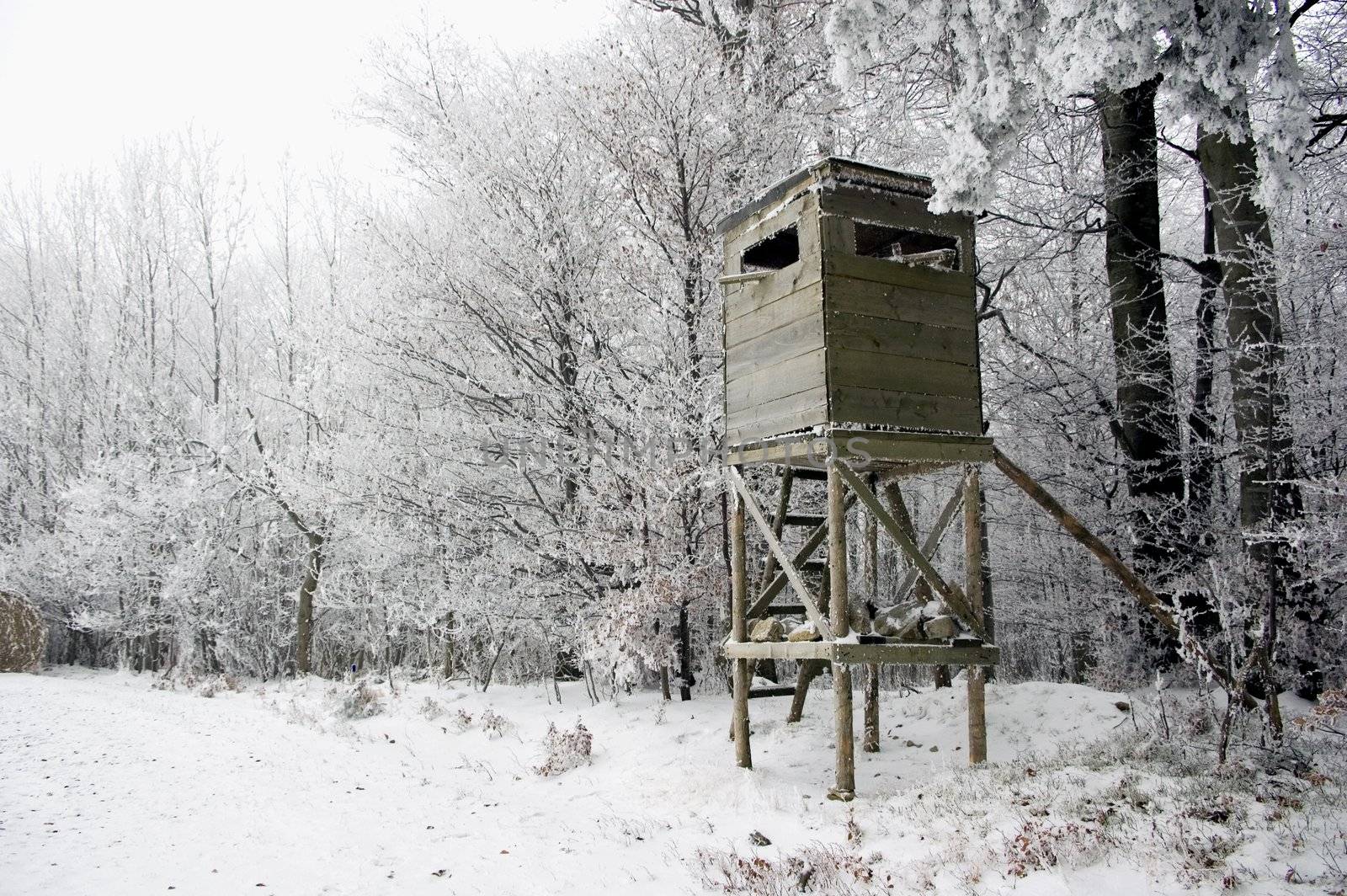 Hunting Tower in Winter Landscape