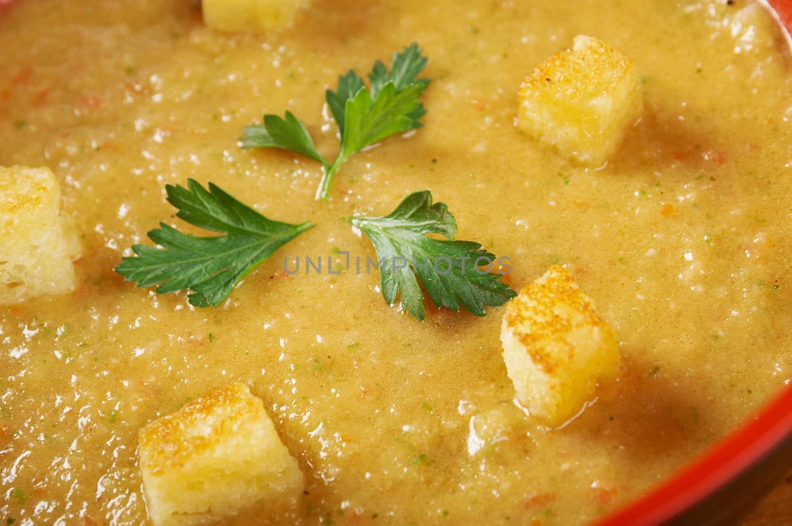 gazpacho with garlic croutons .closeup