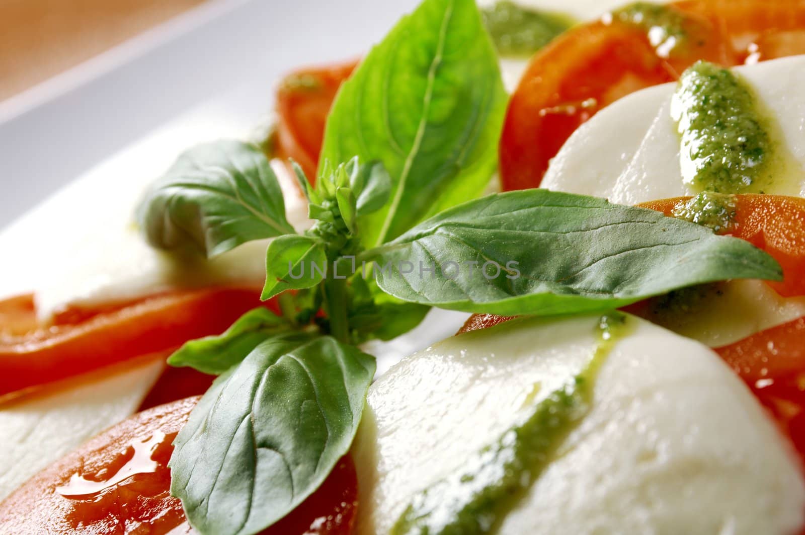 Italian cuisine.Arrangement of mozzarella and tomatoes