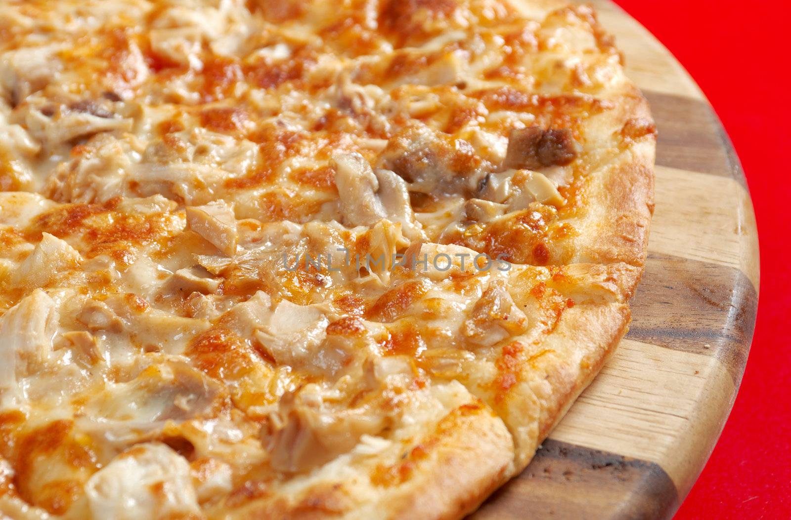 Pizza with chicken and mushroom. italian kitchen. Studio