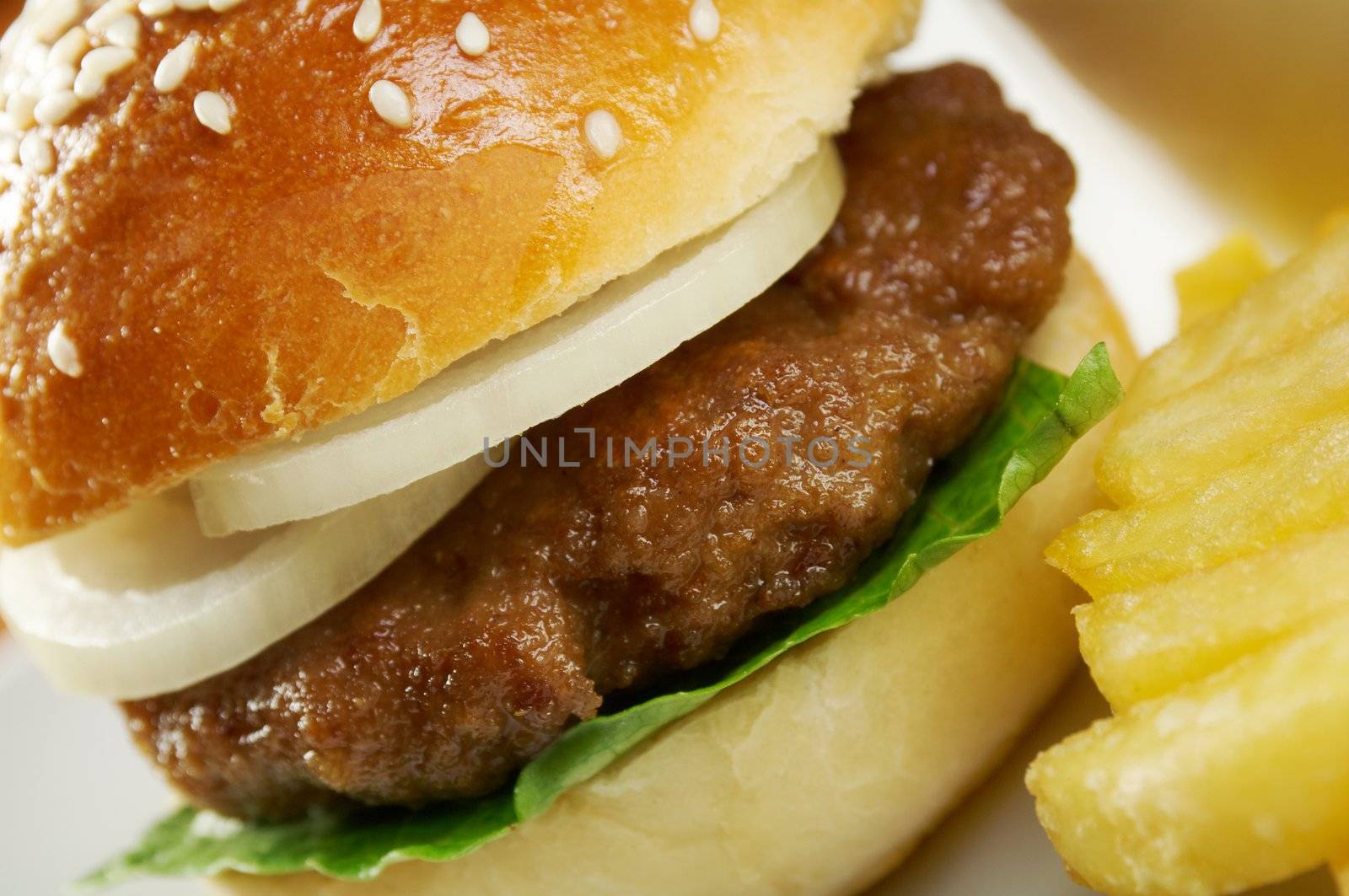 Hamburger with french fries. closeup