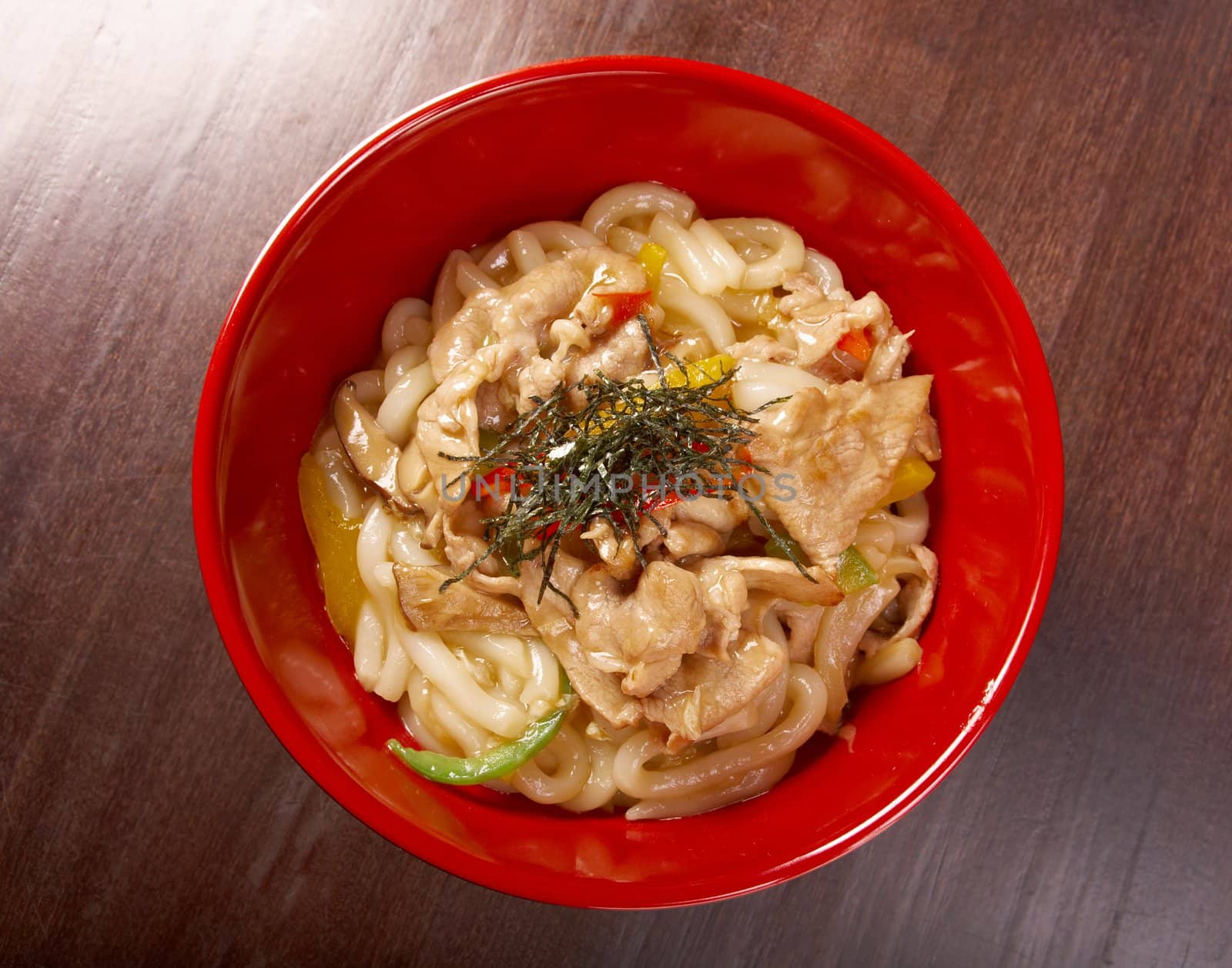 pork slice  and udon-noodle.Japanese cuisine