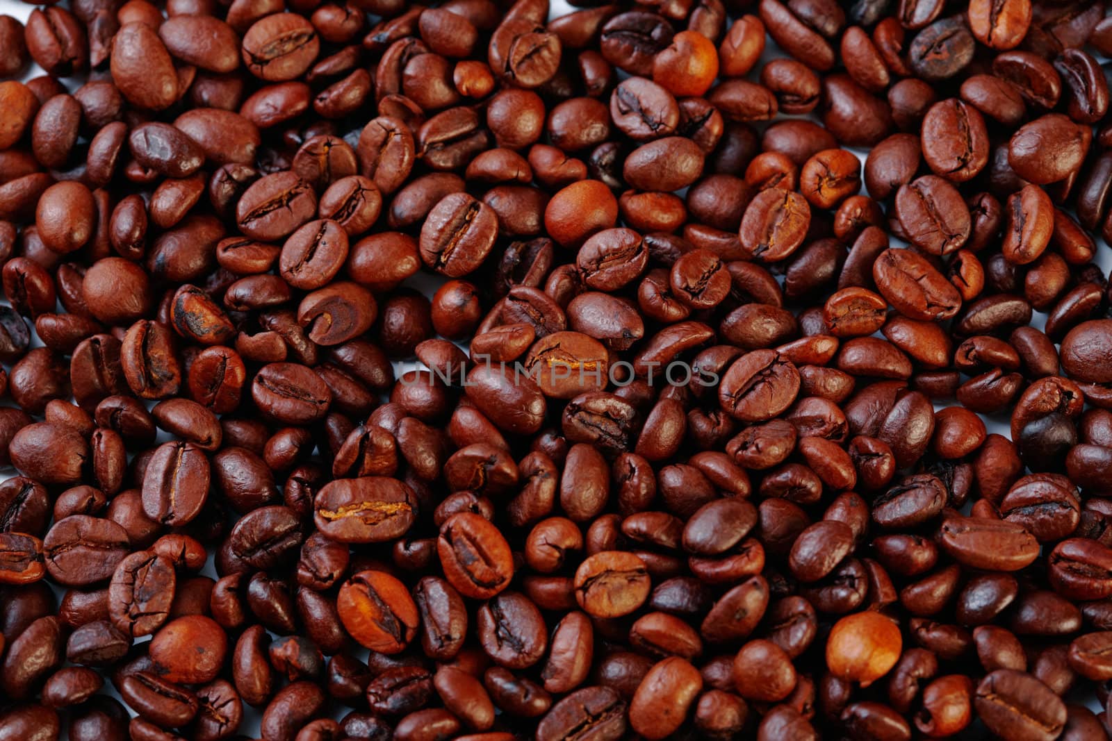 Coffee Beans by romanshyshak