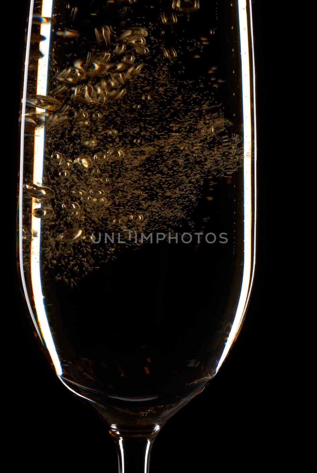 Glass of Champagne by romanshyshak