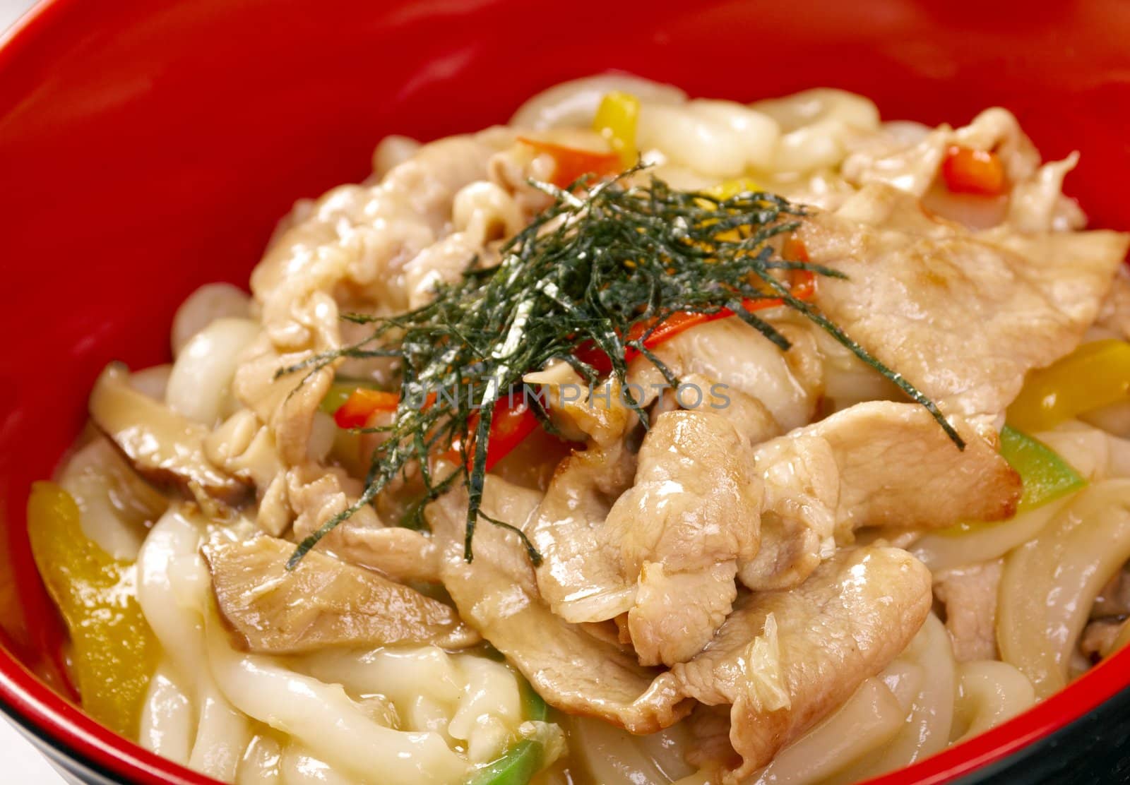 pork slice  and udon-noodle.Japanese cuisine
