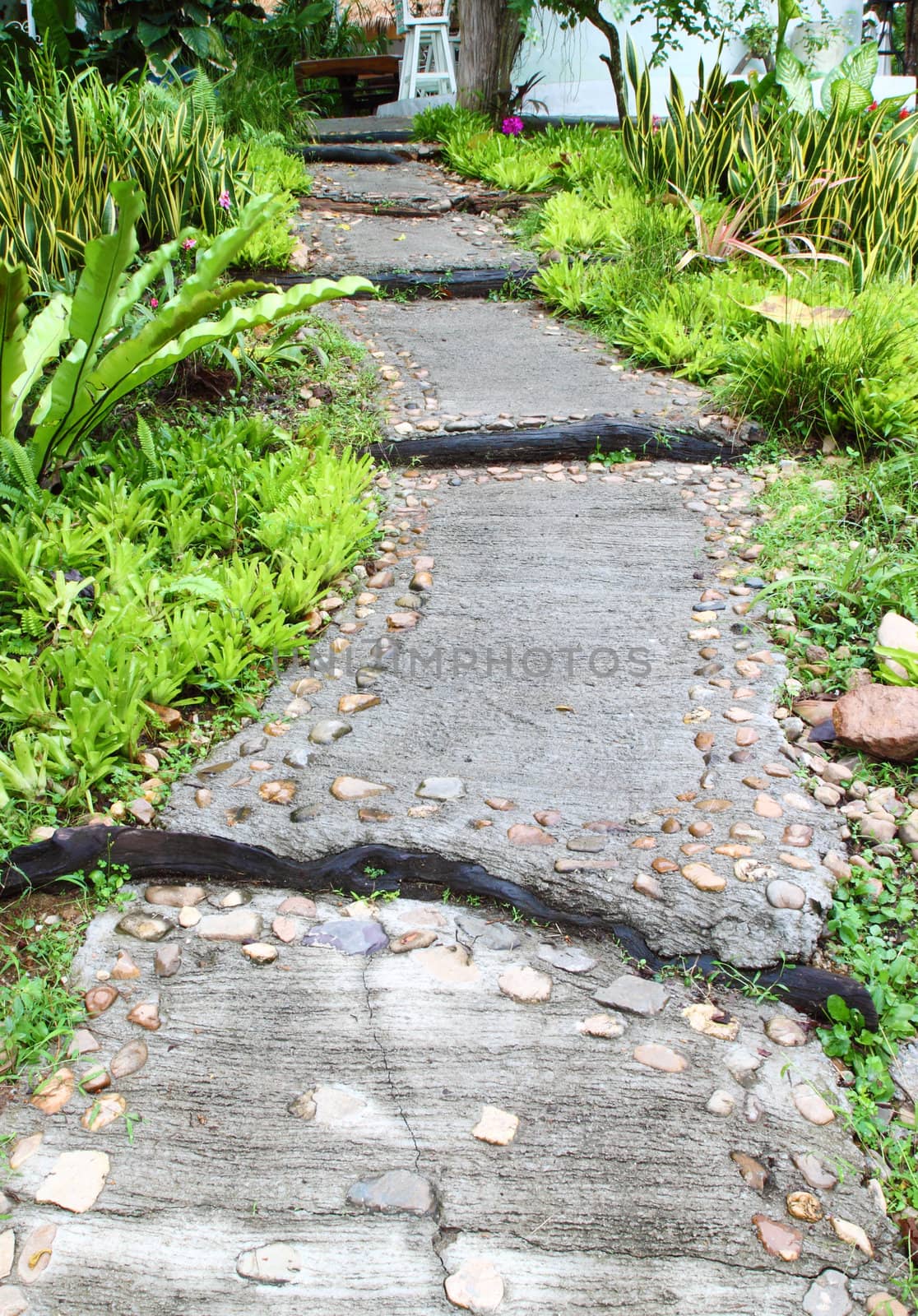 stone walkway  by geargodz