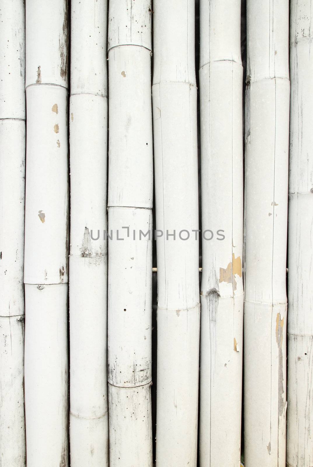 white bamboo texture wall background