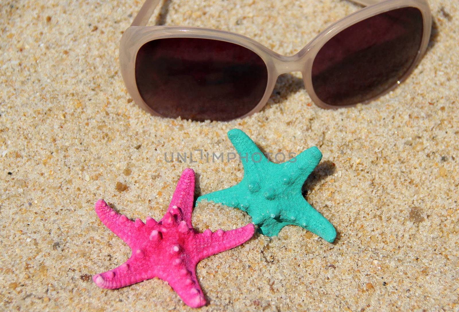 Funny starfishes on the beach and female sunglasses