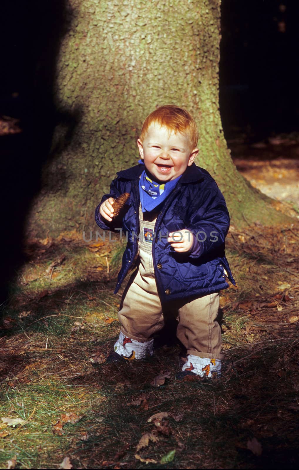 young boy enjoys walking in the forest