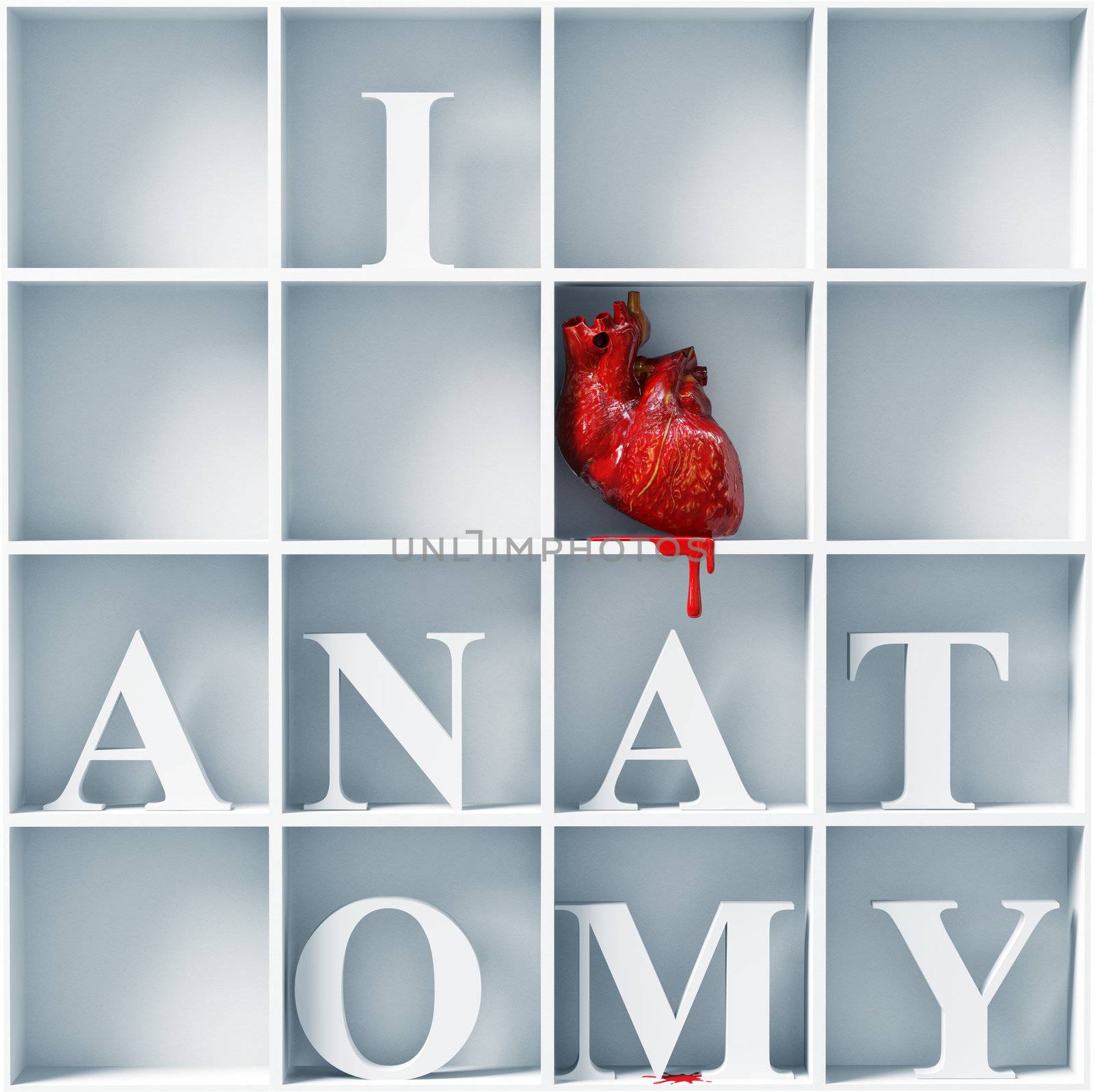 I love anatomy by vicnt