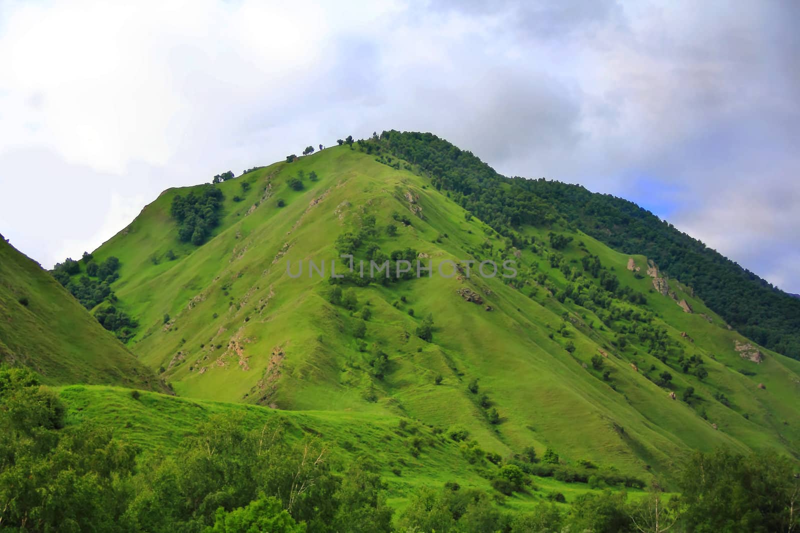 Summer beautiful landscape with Caucasus green mountains