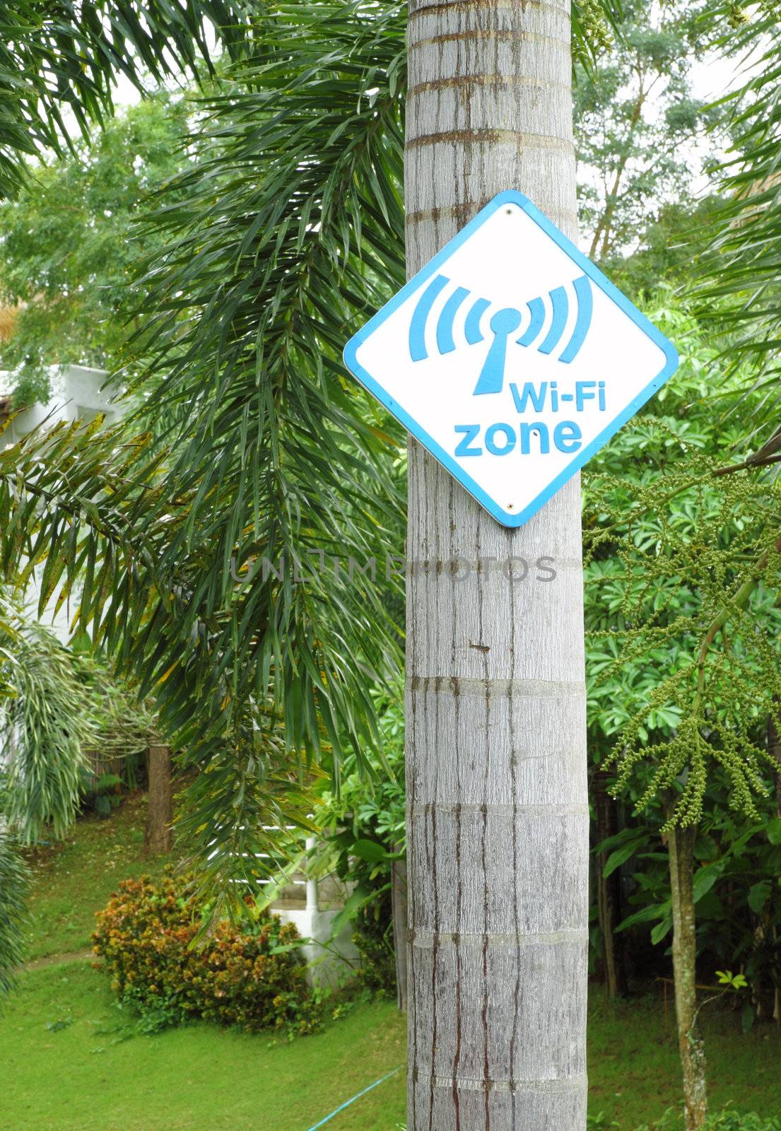 Wi-Fi zone sign on tree in the garden