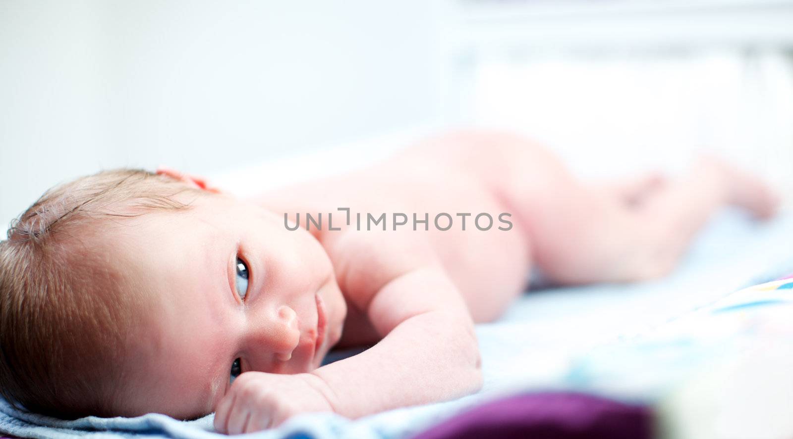 Intelligent little newborn baby by langstrup