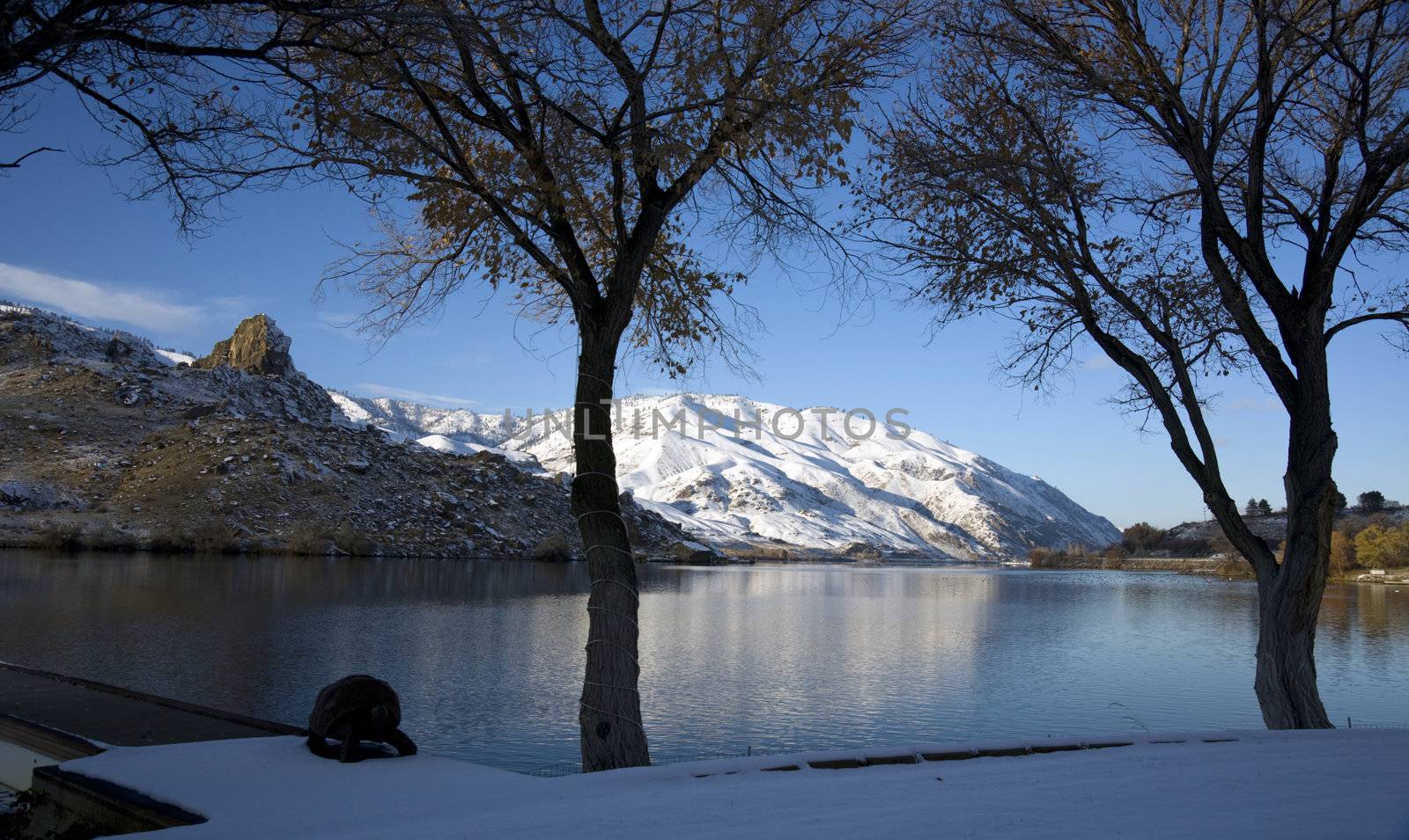Winter Snow on the Peaceful Columbia River under the trees looking at a rock butte