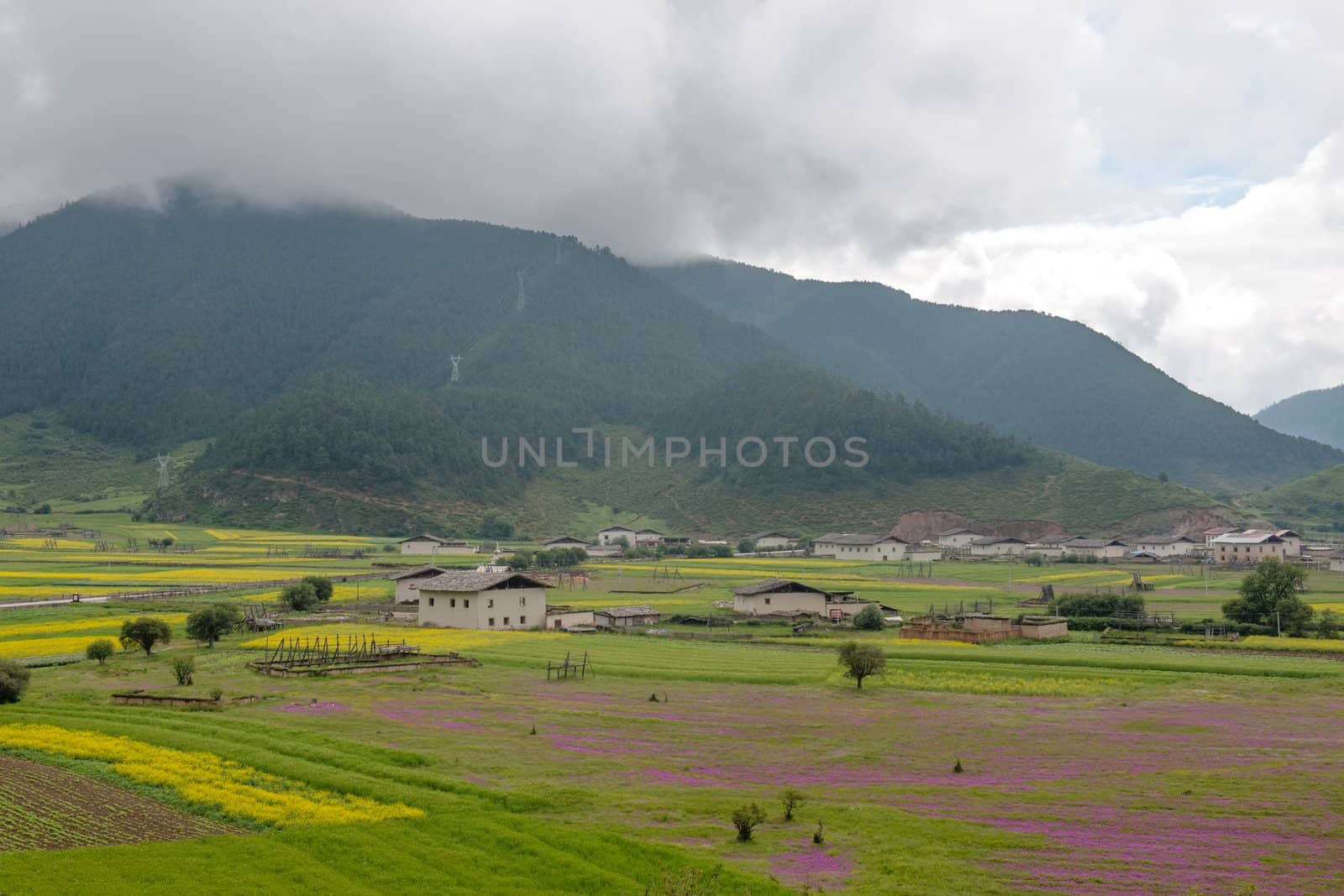 Landscape of tibetan village in rural area of Shangri-La county,Yunnan province, China