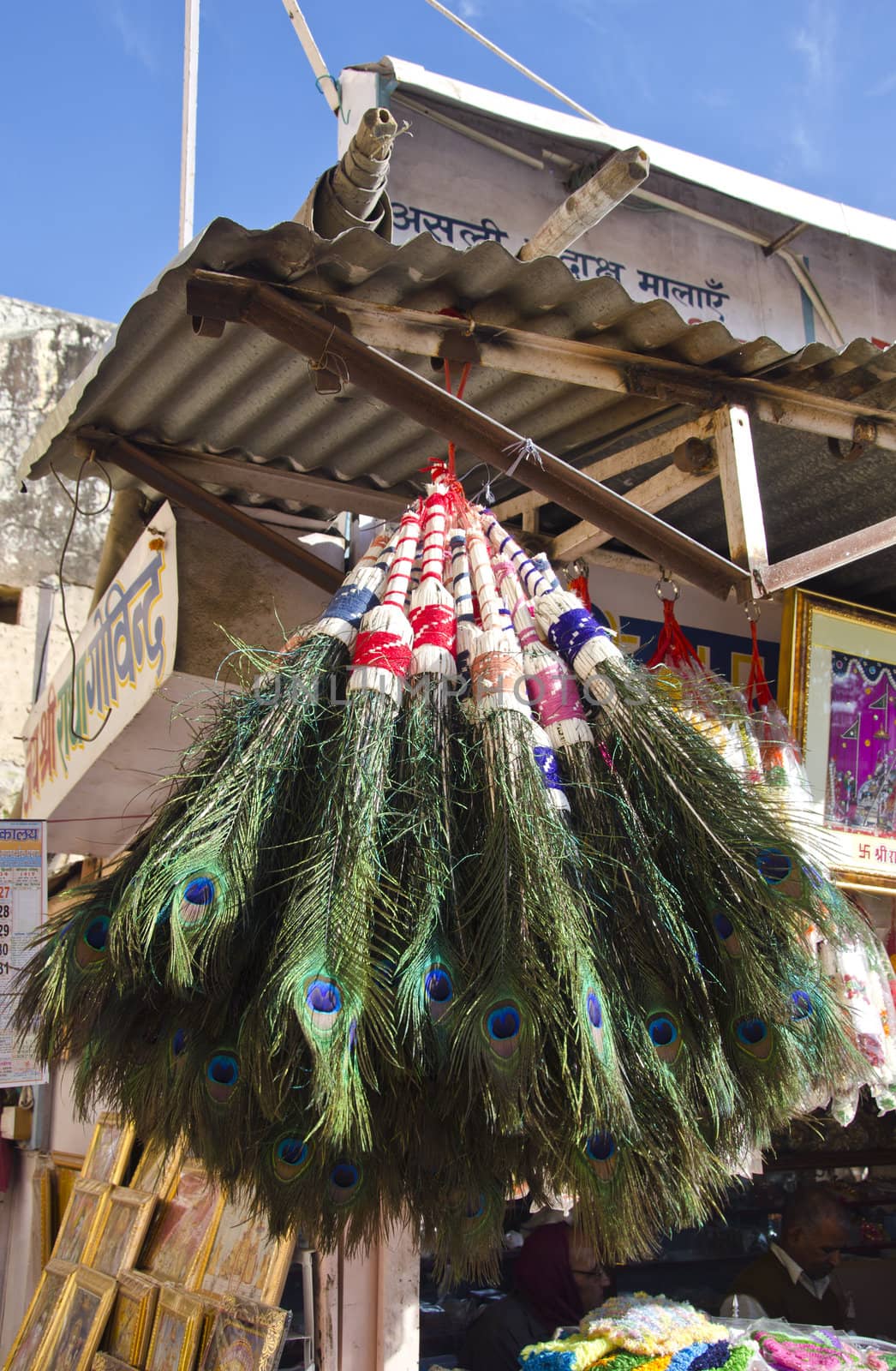 peacock feathers in India market, Jaipur city