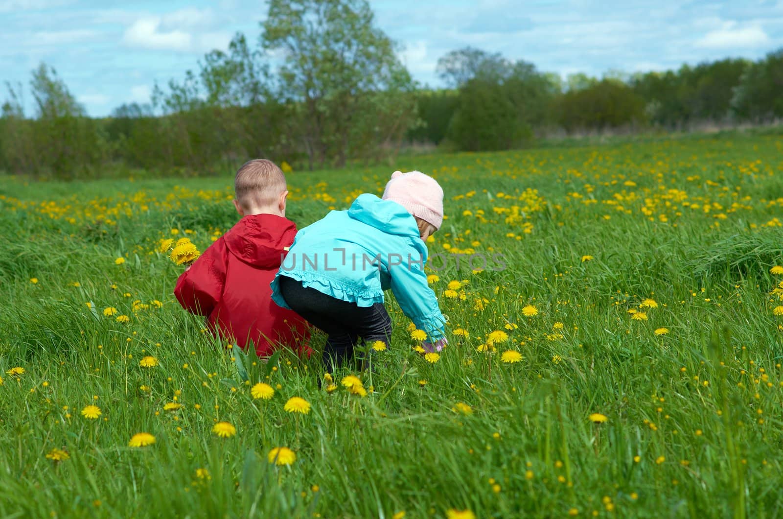 boy and small girl  on meadow with dandelion