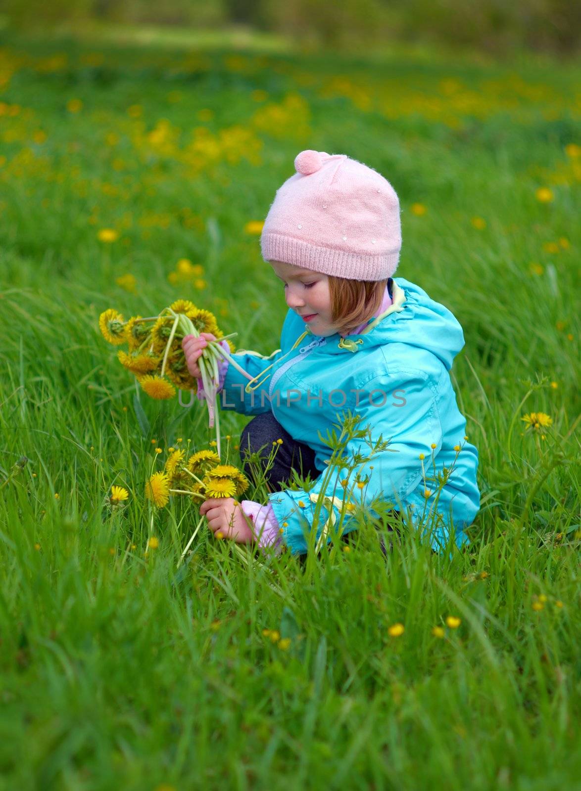 small girl  on meadow  by Fanfo