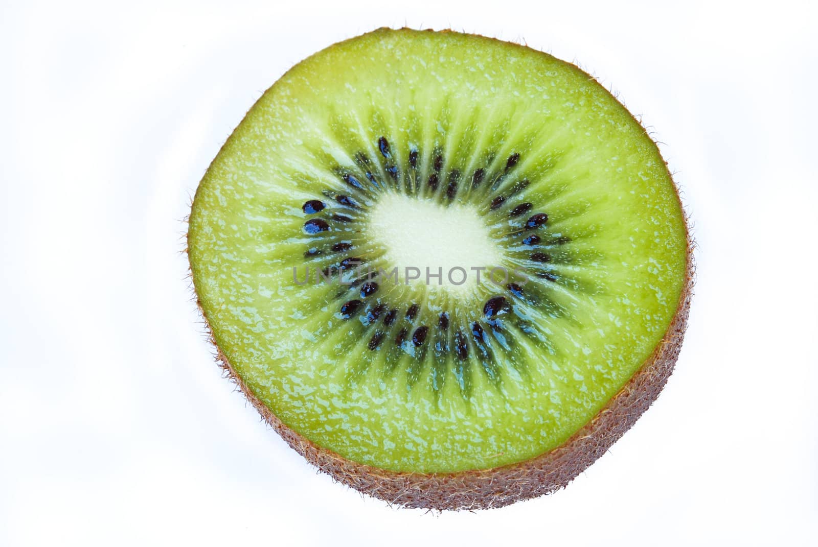 Kiwi fruit sliced segments isolated on white background