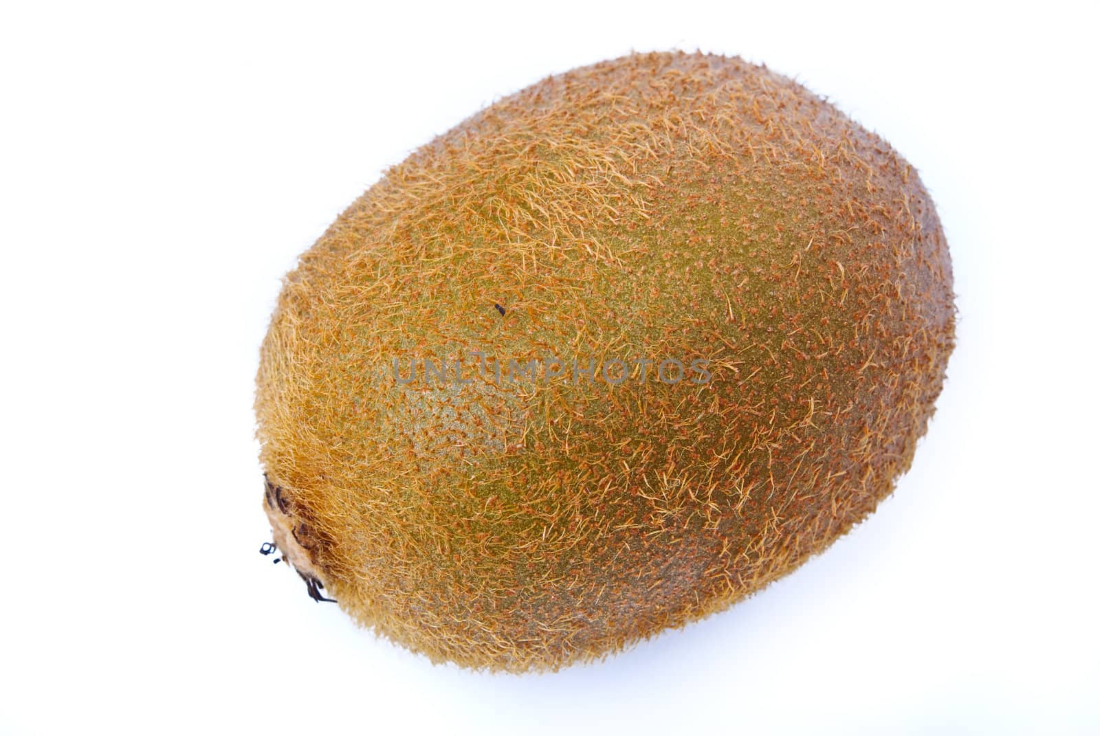 Kiwi fruit sliced segments isolated on white background