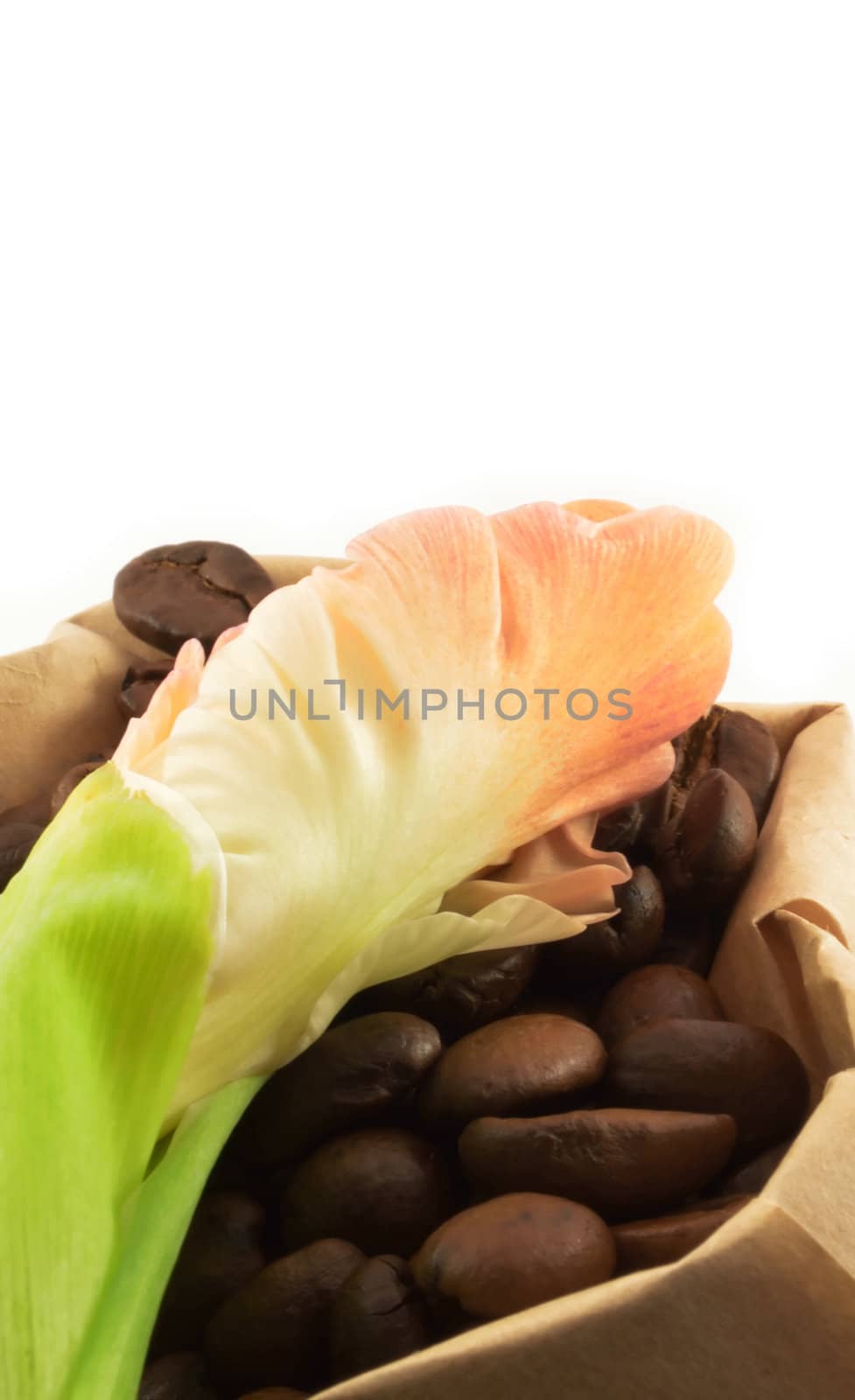 The roasted coffee grains in paper bags with flower