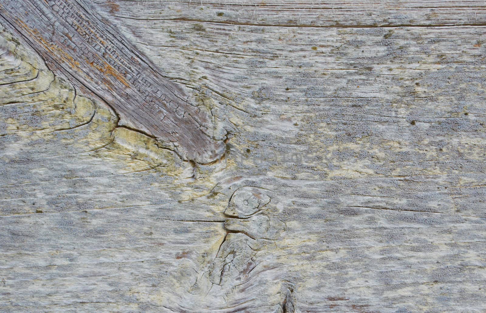  Wooden board with cracks as a natural background