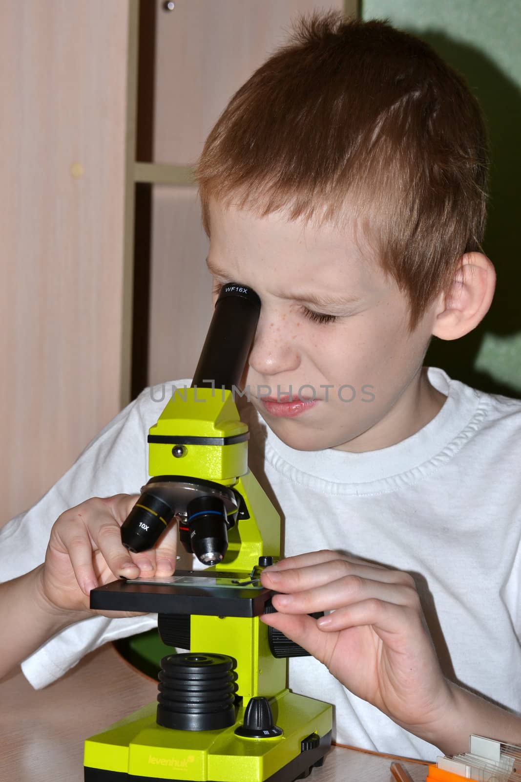 The teenager conducts researches, looking in a microscope